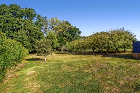 Orchard