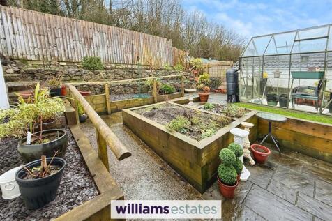 Back Garden