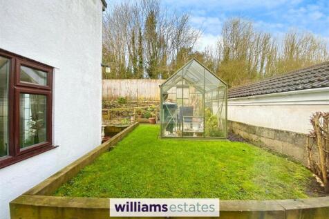Back Garden