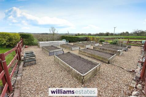 Vegetable Plot