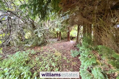 Woodland
