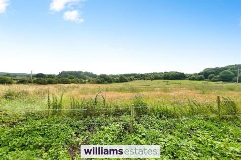 Open Field Views