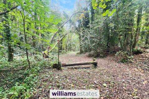 Woodland