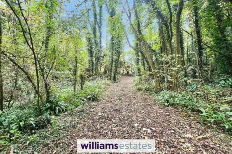 Woodland