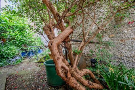 Garden Area