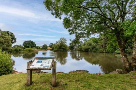 Falmer Pond
