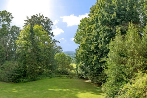 Picture 24