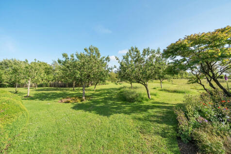 Communal Garden