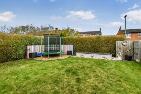 Garden (2)