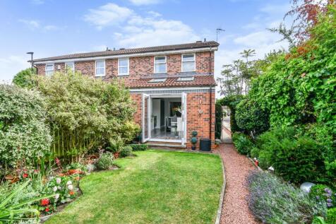 Rear Garden (2)