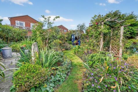 Garden (1)
