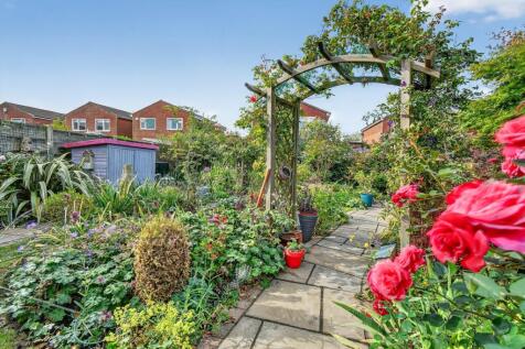 Garden (3)