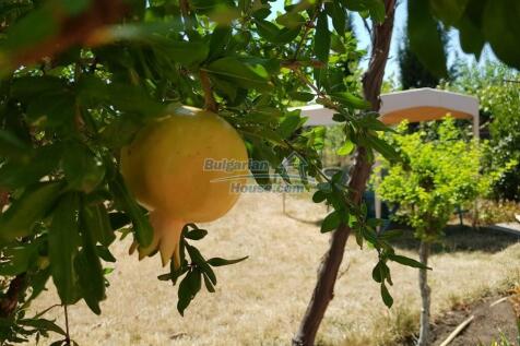 Property Image 34