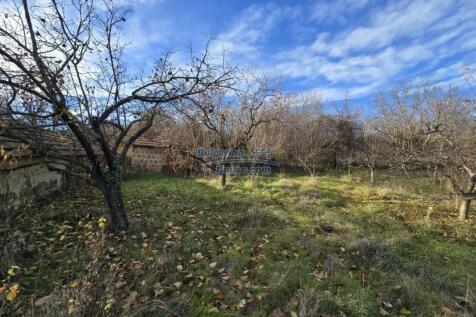 Property Image 39