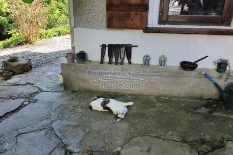 Property Image 38