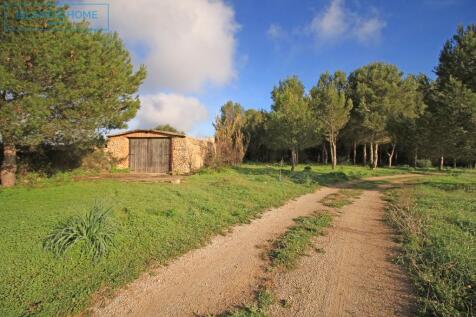Property Image 44
