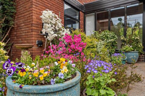 Property Image 33