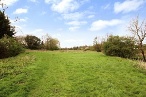 Shotesham Common