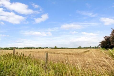 Hales Common