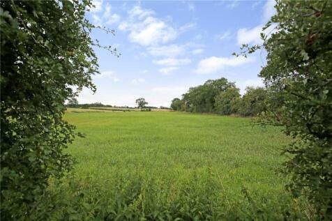 Garden Views