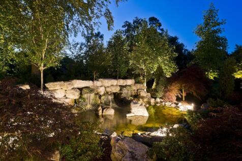 Pond