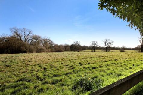 Field