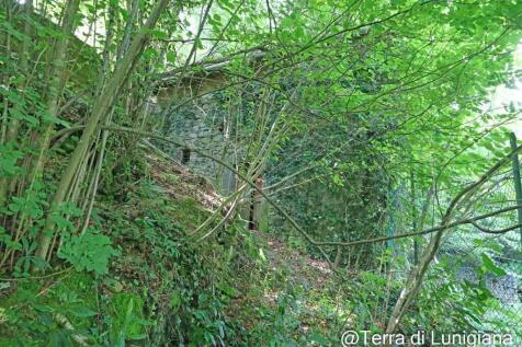 Property Image 59