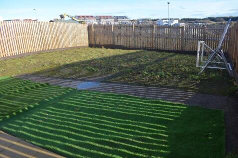 Back Garden
