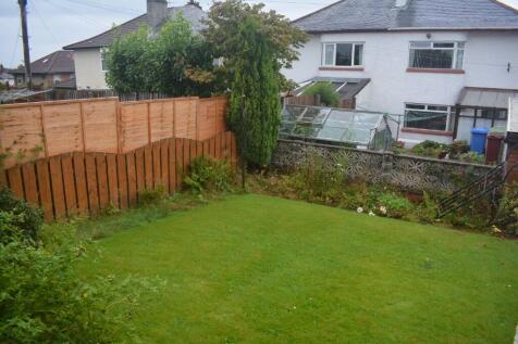 Back Garden