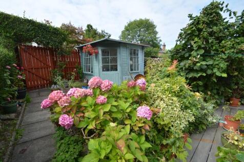 Back Garden