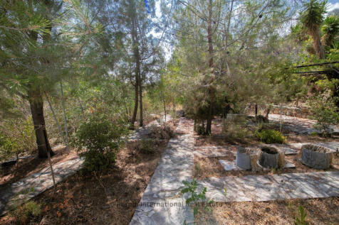 Property Image 28