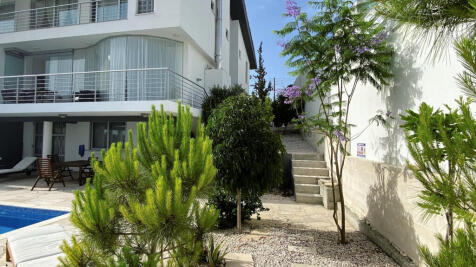 Property Image 44