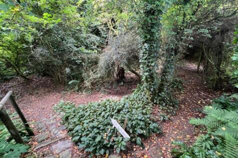 Property Image 54