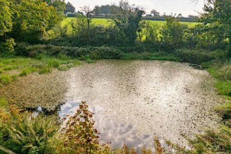 Property Image 69