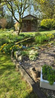 Property Image 54