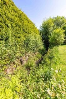 Property Image 66