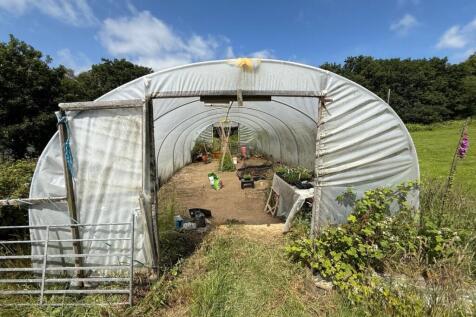 Property Image 43