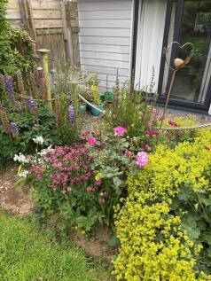 Property Image 58