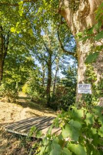 Property Image 68