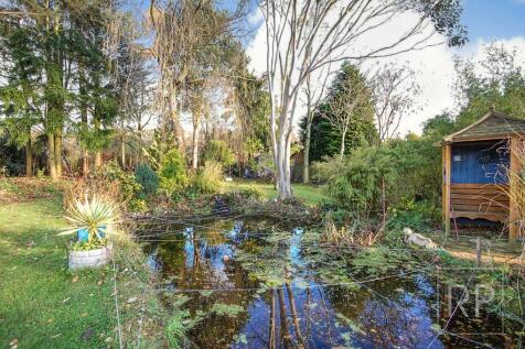 Property Image 16