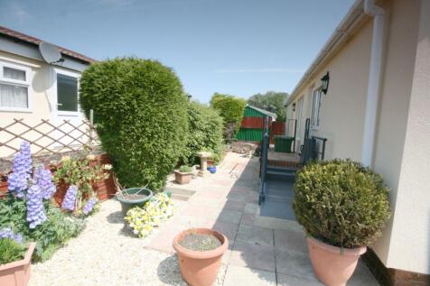 Photograph 7
