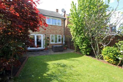 IMG_1862 garden rear.jpg