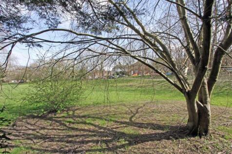 IMG_4974 park.jpg