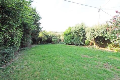IMG_6306 garden.jpg