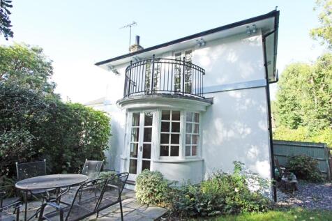 IMG_6384 patio rear.jpg
