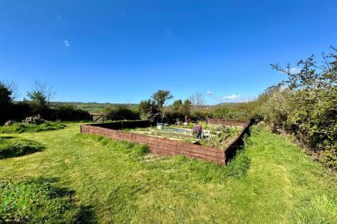 Vegetable Plot