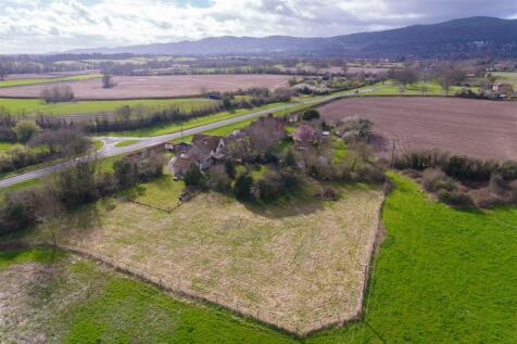 20240315-DJI_0973.jpg