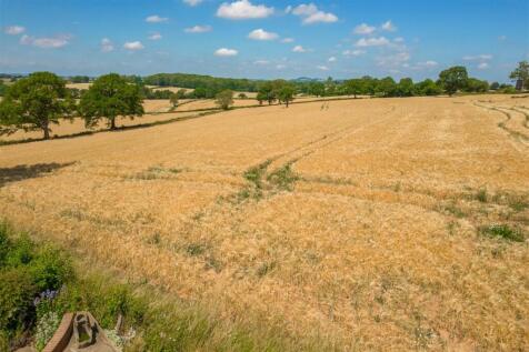 DJI_0369.jpg