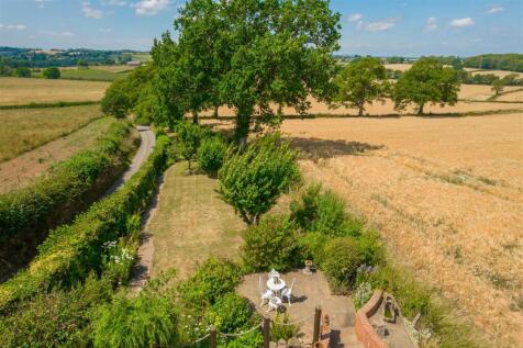 DJI_0370.jpg