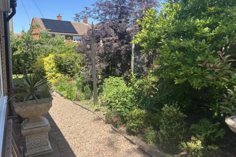 New Garden 4.jpg